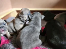 Help Identifying Colour Please