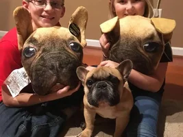 Overwhelmed and looking for advice