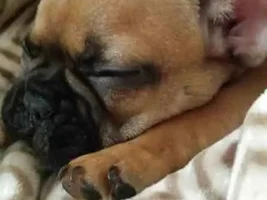Meet our addition to our family!