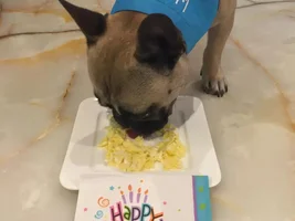 Jake is 4 today!