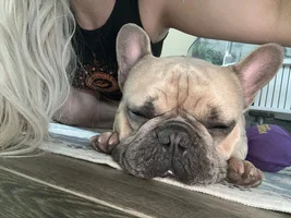 My name is Peanut