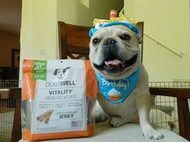 Happy Birthday to Rocco!