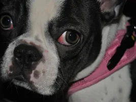 New camera means new pictures...