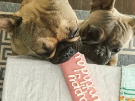Maple Turned 1 Today