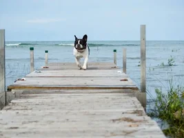 Wally and Uma on vacation