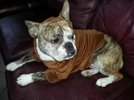 Buster's New "Fur" Hoodie!