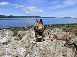 Lighthouse Park