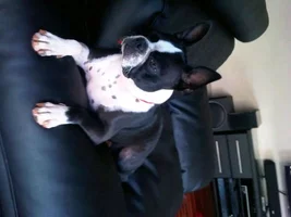 Hi :) Welcome lil Diego