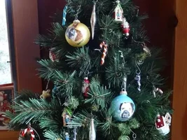 Let's see that tree!