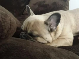 My little boy was too good for this world