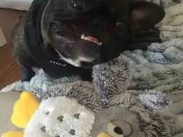 Hudson cracks me up!