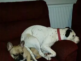 We have another new addition...
