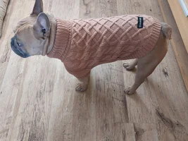 📷 Please submit a photo for the French Bulldog News Header & Logo!