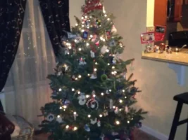 Let's see that tree!