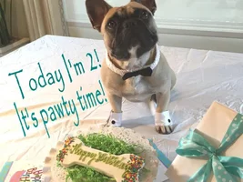 Jake's B-day is today!