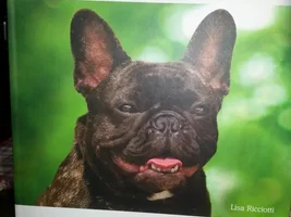 I Got This Great Book At PETCO!
