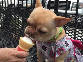 Ice Cream Day