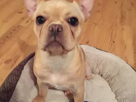 Rosie
