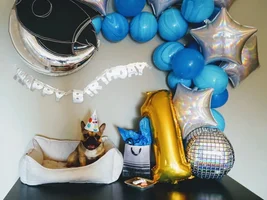 Hugo had his first barkday
