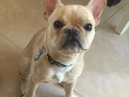 MyBrixton Says hello!