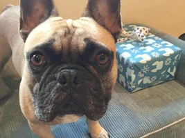 Jake is 4 today!