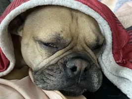 Nail trimming