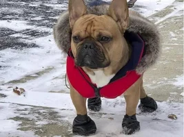 He loves the cold!