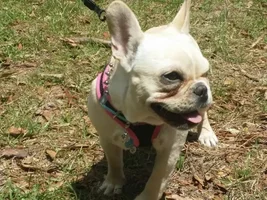 Godzilla enjoys the sunshine!!!