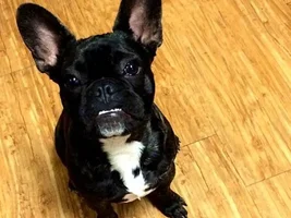 Developing underbite?