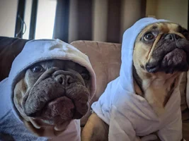 Drying off