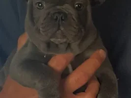 Hello all!!