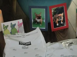 2015 Secret Santa Paws Sharing Thread