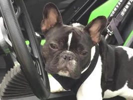 Harness advice