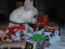 2015 Secret Santa Paws Sharing Thread