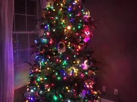 Share your Christmas decorations