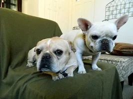 Foster Rocco stopping by...