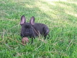 enjoying life at 12 weeks!
