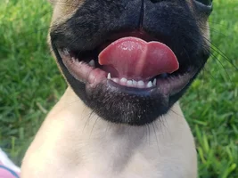 This Was Fine When He Was A 6 LB, 8 Week Old Baby