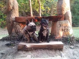 Pepper and maxymus