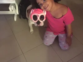 ~ENTER HERE~ May Frenchie of the Month Contest "Frenchies with Children"