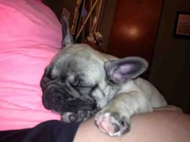 Just had to share :)