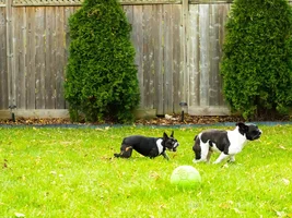 Play time!
