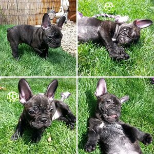 First Day Home