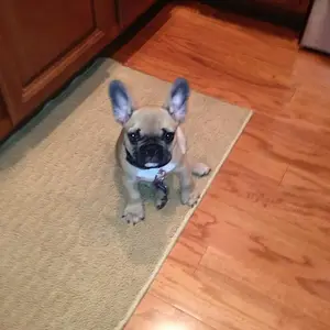 His kitchen spot.