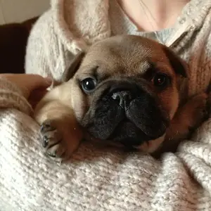 4 weeks old