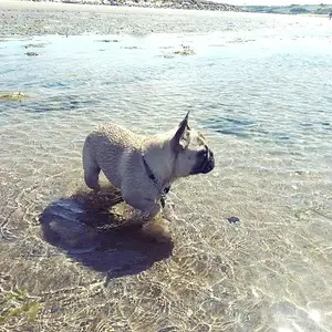 At the beach 7 months old