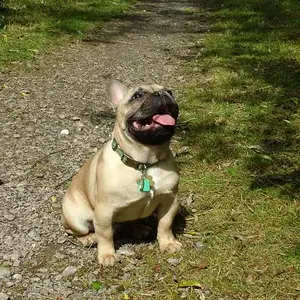 6 months old