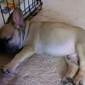 Jax 2