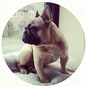 10 months old