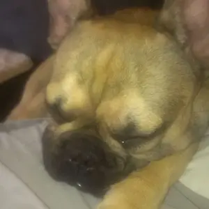 IMAG0262
